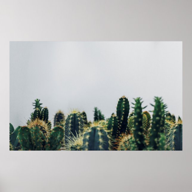 GRÖNT CACTI POSTER (Framsidan)