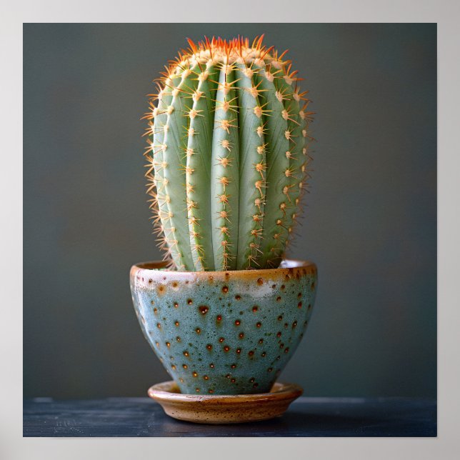 Grönt Cactus in a Teal Ceramic Pot Photography Poster (Framsidan)