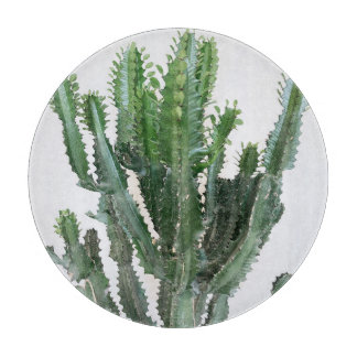 Grönt Cactus: Minimalistisk vit bakgrund