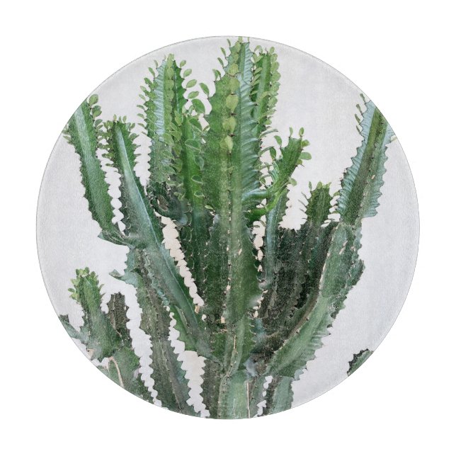 Grönt Cactus: Minimalistisk vit bakgrund (Framsidan)