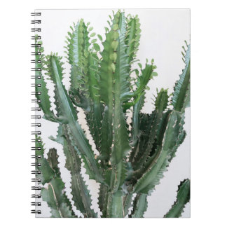 Grönt Cactus: Minimalistisk vit bakgrund Anteckningsbok