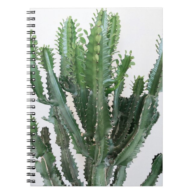 Grönt Cactus: Minimalistisk vit bakgrund Anteckningsbok (Framsidan)