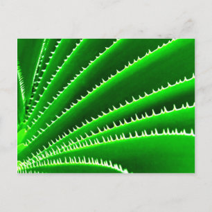 grönt cactus mönster vykort