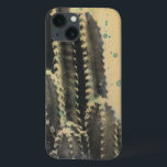 Grönt Cactus on Gult Background<br><div class="desc">Cactus on Splattered Gult Background.Artist: Naomi McCavitt. Bild-ID: 106255Z.</div>