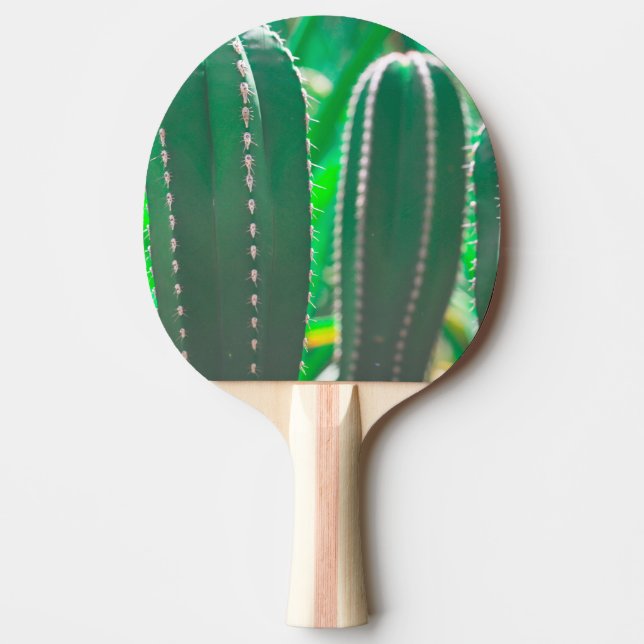 Grönt cactus plant löv pastel pingisracket (Framsidan)
