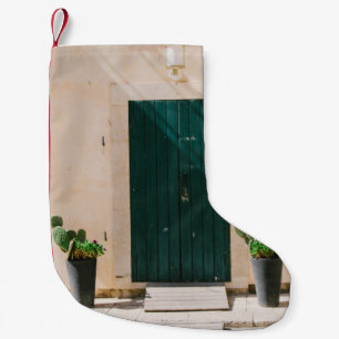 GRÖNT CACTUS VÄXTER NÄRA GRÖNTEN DÖRR LITEN JULSTRUMPA