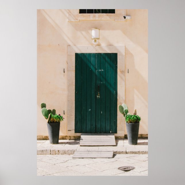 GRÖNT CACTUS VÄXTER NÄRA GRÖNTEN DÖRR POSTER (Framsidan)