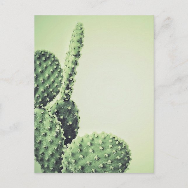 Grönt Cactus Vykort (Framsida)