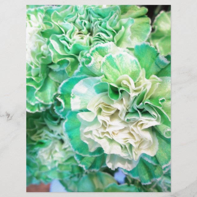 Grönt Carnation (Framsida)