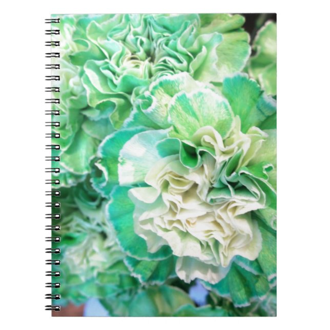 Grönt Carnation Anteckningsbok (Framsidan)