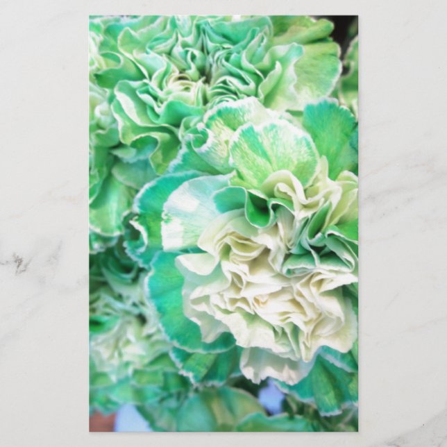 Grönt Carnation Brevpapper (Framsida)