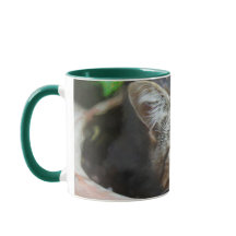 Grönt Cat Öga Mugg