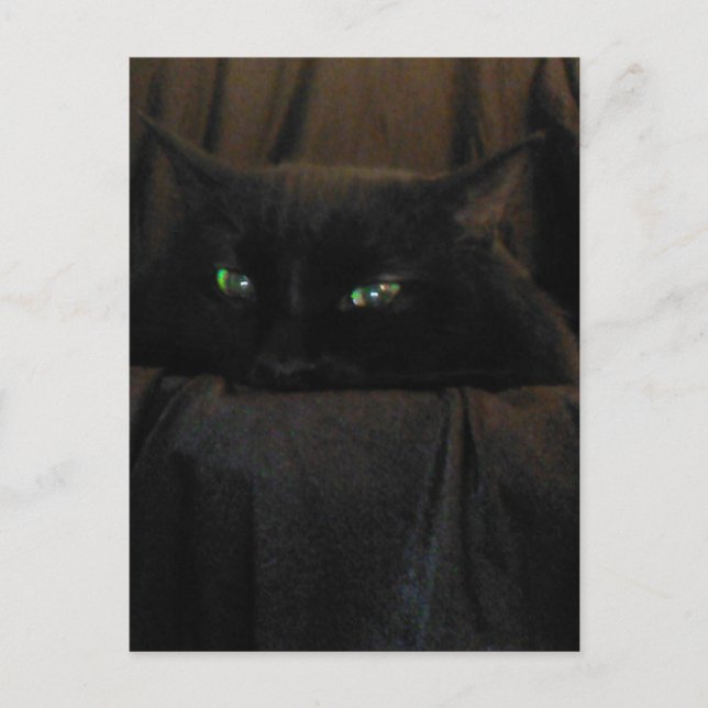 Grönt Cat Ögon vykort (Framsida)
