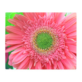 Grönt Center Gerbera Metall Wall Art