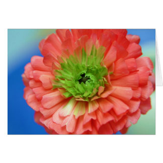 grönt center ranunculus hälsningskort
