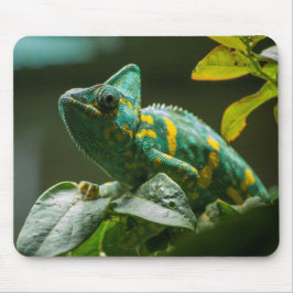 Grönt Chameleon Mouse Pad Musmatta