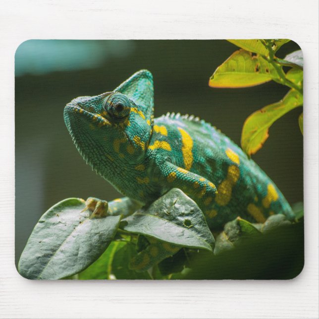 Grönt Chameleon Mouse Pad Musmatta (Framsidan)
