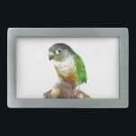 Grönt Cheek Conure<br><div class="desc">På detta attraktiva låsbeslag för bälte visas en gult-grönt.</div>