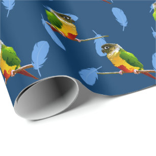 Grönt Cheek Conure Blue Feathers Pet Birthday Presentpapper