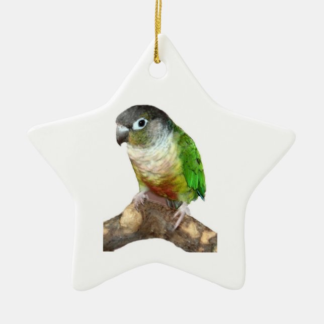 Grönt Cheek Conure Julgransprydnad Keramik (Framsidan)