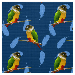 Grönt Cheek Conure Parakeet Roligt Bird Blue Feath Tyg
