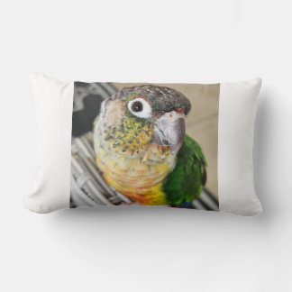 Grönt Cheek Conure Parrot Lumbarkudde
