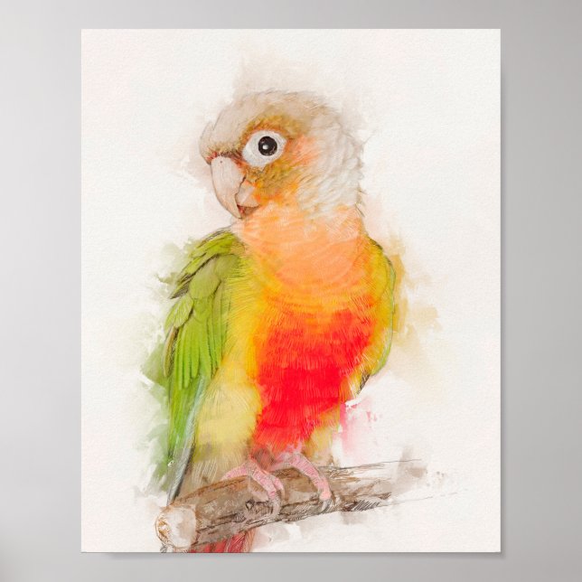 Grönt Cheek Conure Porträtt Poster (Framsidan)