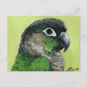 "Grönt Cheeked Conure" Bird Art Postcard Vykort