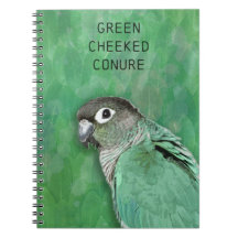 Grönt Cheeked Conure - vacker fågel