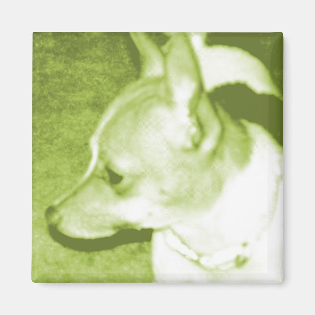 Grönt Chihuahua Pop Art Magnet (Framsidan)
