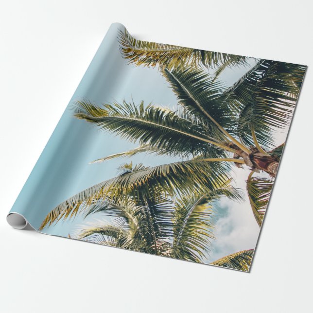 Grönt coconut träd presentpapper (Utrullad)