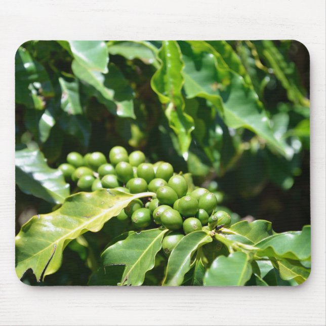Grönt Coffee Berries Mouse Pad Musmatta (Framsidan)