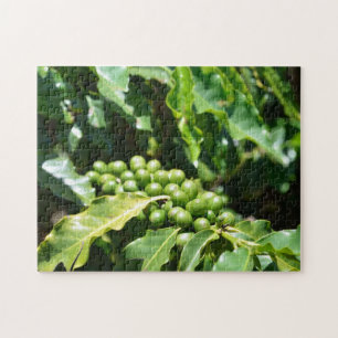 Grönt Coffee Berries Puzzle Pussel