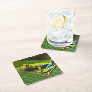 Grönt Colorful Jungle Träd Frog Underlägg Papper Kvadrat
