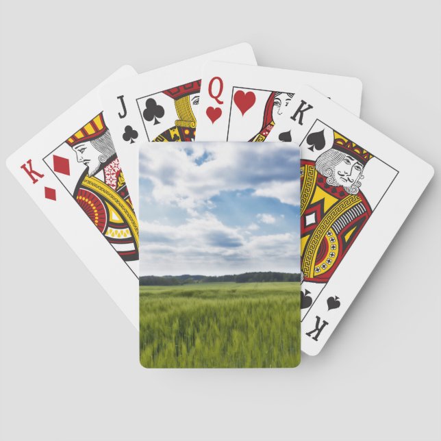 Grönt Cornfields och Blå himmel Casinokort (Baksidan)