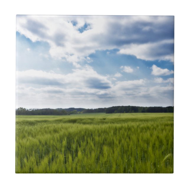 Grönt Cornfields och Blå himmel Kakelplatta (Framsidan)