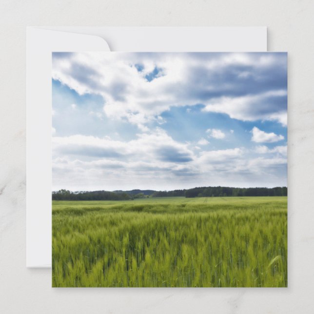 Grönt Cornfields och Blå himmel Kort (Framsida)