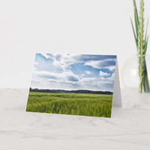 Grönt Cornfields och Blå himmel Kort