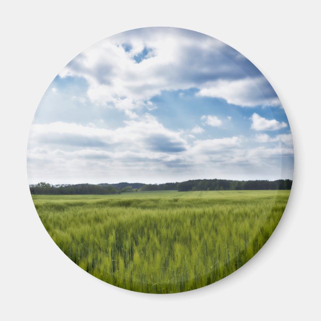 Grönt Cornfields och Blå himmel Magnet (Framsidan)