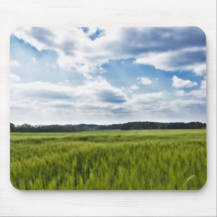 Grönt Cornfields och Blå himmel Musmatta
