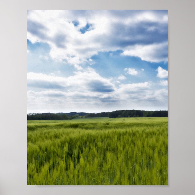 Grönt Cornfields och Blå himmel Poster (Framsidan)