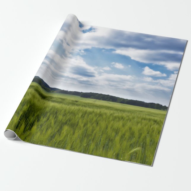 Grönt Cornfields och Blå himmel Presentpapper (Utrullad)