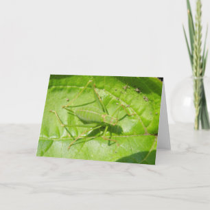 Grönt Cricket Camouflage Greeting Card Kort