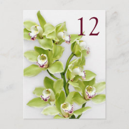 Grönt Cymbidium Orchid Blommigt Bröllop Bord-kort Vykort