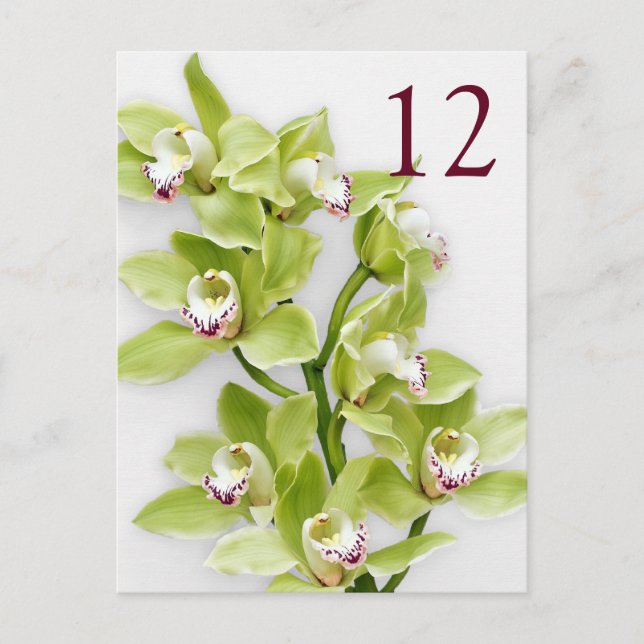 Grönt Cymbidium Orchid Blommigt Bröllop Bord-kort Vykort (Framsida)
