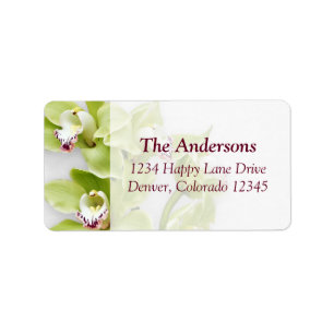 Grönt Cymbidium Orchid Bröllop Adressetiketter