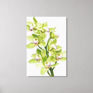 Grönt Cymbidium Orchid Flower Wrapped Canvas Skriv