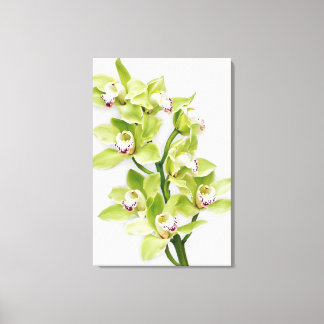 Grönt Cymbidium Orchid Flower Wrapped Canvas Skriv