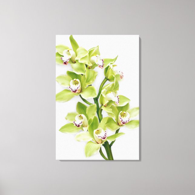 Grönt Cymbidium Orchid Flower Wrapped Canvas Skriv (Framsida)