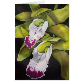 Grönt Cymbidium Orchid Hälsningskort